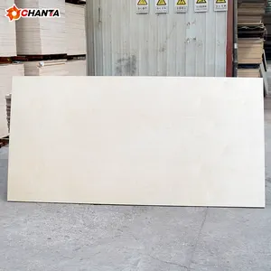 18mm Uv Birch Plywood/uv Coating Birch Plywood From Linyi Chanta