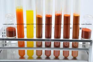 <span class=keywords><strong>100</strong></span>% bubuk ekstrak bunga Marigold alami Lutein Zeaxanthin 10% 20% 80% 90% - Product Image 4