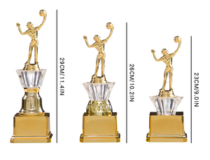 Trophées en plastique à bas prix pour le volley-ball, figurines masculines pour entraînement et matchs <span class=keywords><strong>AD36</strong></span> - Product Image 5