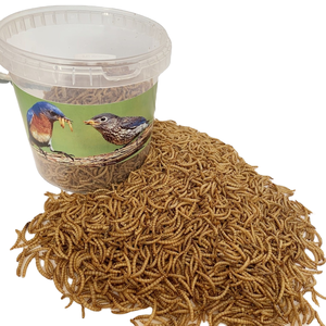 Grade vers animaux vers de farine secs <span class=keywords><strong>nourriture</strong></span> pour oiseaux sous forme de poudre pour poisson, chien, cochon, bétail, cheval, animal de compagnie. - Product Image 1