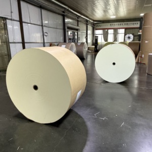 Rouleau géant de papier couché PE en pâte de bois vierge 150-320 GSM, haute rigidité, largeur personnalisée, OEM ODM pour la fabrication de gobelets et de bols en papier - Product Image 6