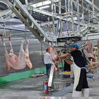 Solution industrielle d'abattage du bétail, ligne de transformation de la viande de chèvre et d'agneau
