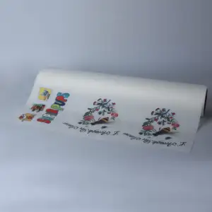 Çift tek taraflı mat tekstil isı transferi 30CM 33CM 60CM DTF Pet Film rulo DTF Film Epson XP600 I3200 4720 DTF yazıcılar için