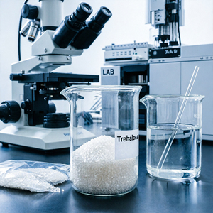 Trehalose en poudre de qualité alimentaire en vrac, agents aromatisants naturels et édulcorant hydratant, sac de 25 kg pour la transformation alimentaire - Product Image 2