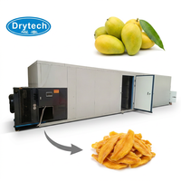 Industriële machine voor het drogen van fruit, geschikt voor mango's, met regelbare temperatuur.