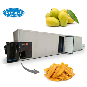 Máquina Comercial para Deshidratar Frutas, Deshidratador de Alimentos con Temperatura Adecuada para Mango, Maquinaria Industrial - Product Image 1