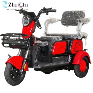 Triciclo Eléctrico Compacto de 1000W con Certificación CE, 48V, 100kg, 30km/h, Autonomía de 30-50km, Triciclo Abierto para Pasajeros - Product Image 4