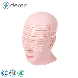 Modelo de Sección de Cabeza de Tamaño Real en PVC y Silicona Suave para Ciencias Médicas y Ambientales, Modelo Educativo de <span class=keywords><strong>Anatomía</strong></span> <span class=keywords><strong>Seccional</strong></span> del Cerebro Humano - Product Image 1