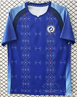 Camiseta de Fútbol Casual para Hombre Haiti 2026WC, Cuello Alto, Malla Transpirable de Alta Calidad, Estampada, Manga Corta, 100% Poliéster, Corte Regular
