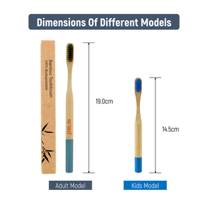 Brosse à <span class=keywords><strong>dents</strong></span> en bambou avec manche antidérapant, poils moyens arc-en-ciel, logo personnalisé, manche coloré - Product Image 2