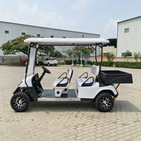 Voiture électrique de tourisme avec benne de chargement, 2 places, pneus tout-terrain, 30 km/h, pour sites touristiques et parcs
