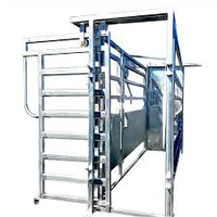 Chute d'encastrement robuste en acier pour bétail, haute qualité, vente chaude, pour enclos de bétail, à vendre