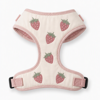 Harnais pour chien en coton rembourré avec broderie fraise, réglable, respirant, à libération rapide, pour chiots de petite et moyenne taille