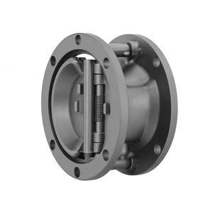 Válvula de Retención de Disco Inclinable de Acero Inoxidable 316, Tipo Brida, DN150, 6 Pulgadas, PN16, Envío Rápido COVNA - Product Image 1