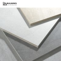 Carreaux de porcelaine pleine masse 600x600x20mm pour extérieur toutes saisons, finition mate, antibactériens, durables, résistants à fort trafic, antidérapants et anti-moisissures