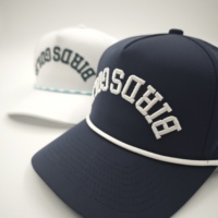 Gorra de Golf Oxford de 5 Paneles con Logotipo Bordado Personalizado, MOQ Bajo, OEM, Perforada con Láser, Transpirable, de Secado Rápido, Deportiva
