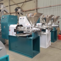Machine d'Extraction d'Huile Vierge de Coco Pressée à Froid Entièrement Automatique pour Arachides, Café et Expulseur à Vis Modèle 6YL-70