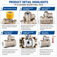 Vanne à boisseau sphérique en laiton à angle droit, filetage mâle PPR, connexion manuelle NPT/BSP, personnalisable OEM, pour alimentation en eau - Vente en gros usine