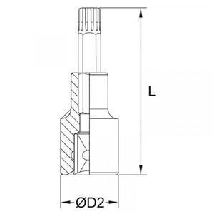 FERVI - BN434N010A 3/8 ''Ribe bit socket - EAN 8012667281946 HAND SOCKETS 3/8" - Product Image 2