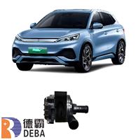 Nouvel ensemble de pompe à eau électrique TA-1309010C pour Mini BYD Qin L/Sea Lion 05EV/Yuan/PLUS/Song EV