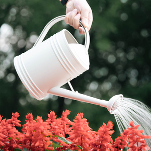 ริป กระบอกฉีดน้ำ 2.5 ลิตร พลาสติก ทนทาน อุปกรณ์รดน้ำต้นไม้ - Product Image 2