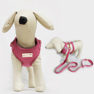 カスタム印刷屋外ウォーキング高級ペットチェストストラップベルベットステップインドッグハーネスとリーシュセット - Product Image 4