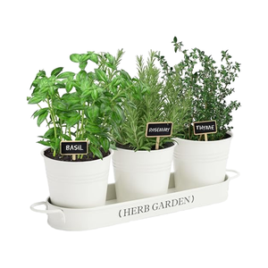 PERFNIQUE Grande jardinière d'intérieur/d'extérieur pour plantes aromatiques Pots de fenêtre en métal pour ferme Plateau de rebord de fenêtre comprenant uniquement une jardinière - Product Image 1