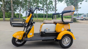 Scooter de Movilidad Eléctrico para el Hogar, Triciclo Eléctrico Pequeño de Tres Ruedas 48V600W para Adultos con Respaldo - Product Image 2