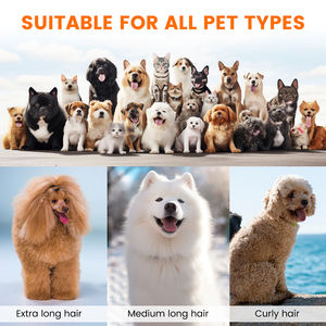 Kits de toilettage pour animaux de compagnie sous vide professionnel à faible bruit 12000Pa tondeuse électrique bouledogue français Golden <span class=keywords><strong>Labrador</strong></span> Retriever <span class=keywords><strong>caniche</strong></span> propre - Product Image 6