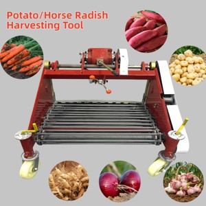 Récolteuse de patates douces à lame avant pour une récolte rapide et manuelle des cultures étalées à plat sur le champ - Product Image 6