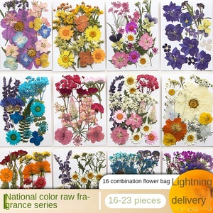 <span class=keywords><strong>Fleurs</strong></span> <span class=keywords><strong>séchées</strong></span> pour l'artisanat, <span class=keywords><strong>fleurs</strong></span> pressées en résine, <span class=keywords><strong>fleurs</strong></span> sauvages <span class=keywords><strong>séchées</strong></span> en vrac, feuilles naturelles avec pince - Product Image 3