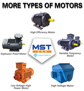 Moteur triphasé <span class=keywords><strong>Teco</strong></span> 20 CV 1400 tr/min, Moteur électrique <span class=keywords><strong>Teco</strong></span> triphasé 20 CV - Product Image 6