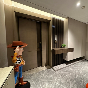 अच्छी गुणवत्ता लिफ्ट लिफ्ट यात्री मशीन रूम्लेस 630 किलोग्राम 8 व्यक्ति यात्री लिफ्ट 10 व्यक्ति आवासीय लिफ्ट - Product Image 1