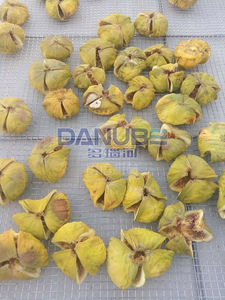 Horno Secador de Diseño Personalizado para Frutos Secos, Máquina de Deshidratación de Cacahuetes, Sala de Limpieza y Secado de Cacahuetes - Product Image 6