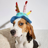 Chapeau d'anniversaire en peluche pour animaux de compagnie avec bougie intégrée – Accessoire de fête doux pour chien et chat