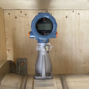 Débitmètre série 8800D/8600 8800DD080SA1N2D1K1M5Q4Q5Q8Q66Q70 - Product Image 2