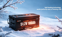 Batterie au lithium auto-chauffante Enlzh CAN Bus RS485 51.2V 100Ah pour serveur, rack, UPS, salles informatiques, calcul en périphérie, surveillance