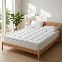 Surmatelas épais personnalisé en microfibre polyester pour lit King/Queen/Full Size, avec coussin supérieur pour hôtel et maison