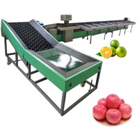 Elektronische fruit sorteermachine, mechanische fruitgewichtsorteerder voor appels, sinaasappels, avocado's, mango's en citroenen.