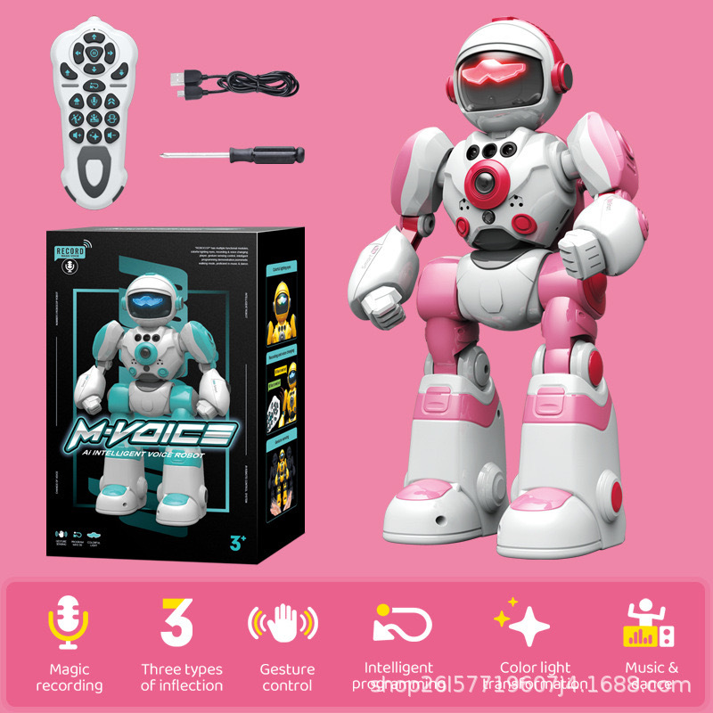 Dora Guerrero Robot Rosa, Programación + Grabación + Gestos