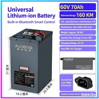 Batterie agli ioni di litio LiFePO4 da 48V 60V 72V 100Ah 200Ah 300Ah a prezzo di fabbrica per tricicli elettrici, Tuk Tuk e caricatori cargo