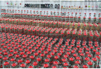 Vente en gros d'usine, Saint-Valentin, Noël, Nouvel An, dôme en verre, roses éternelles, boîte cadeau enchantée Belle