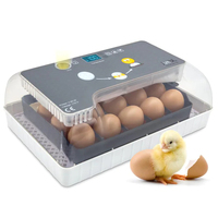Weißer 100_Egg_Incubator für Ente