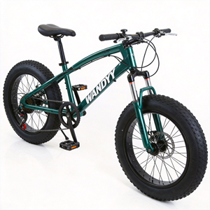 Bicicleta de Montaña WANDYY con Llantas Gruesas de 20, 24 y 26 Pulgadas, Bicicleta para Nieve y Playa 4.0 - Product Image 1