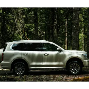 2023 GWM Tank500 4wd 3.0T 가솔린 자동차 큰 우주 휘발유 차량 Suv 핫 세일 새로운 중고 자동차