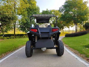 Buggy 2 places, buggy UTV, essieu UTV, pas cher - Product Image 6