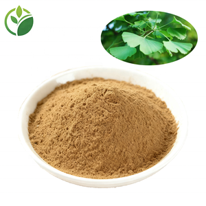 Fabriklieferung Großhandel Hochwertiger <span class=keywords><strong>Ginkgo</strong></span> <span class=keywords><strong>Biloba</strong></span> Extrakt 24% Flavone <span class=keywords><strong>Ginkgo</strong></span> <span class=keywords><strong>Biloba</strong></span> Blattextrakt Pulver <span class=keywords><strong>Ginkgo</strong></span> Blattextrakt - Product Image 2