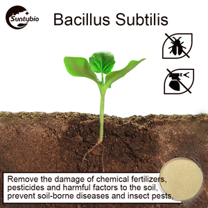 <strong>Probioticos</strong> Bacillus Subtilissoil Fertilizer Additive Plant Nutrition Probiotics Feed Grade Probiotic Powder - Product Image 4