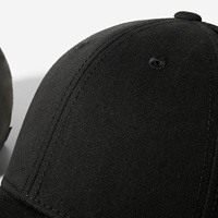 Gorra de Béisbol Unisex Ajustable de Sarga, Color Sólido, Estilo Deportivo Casual, Gorra Lisa de Tela Común para Adultos para Exteriores