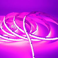 Bande LED COB adressable RGBCCT 12 mm DC24V 840 LED/m avec effets d'éclairage dynamiques